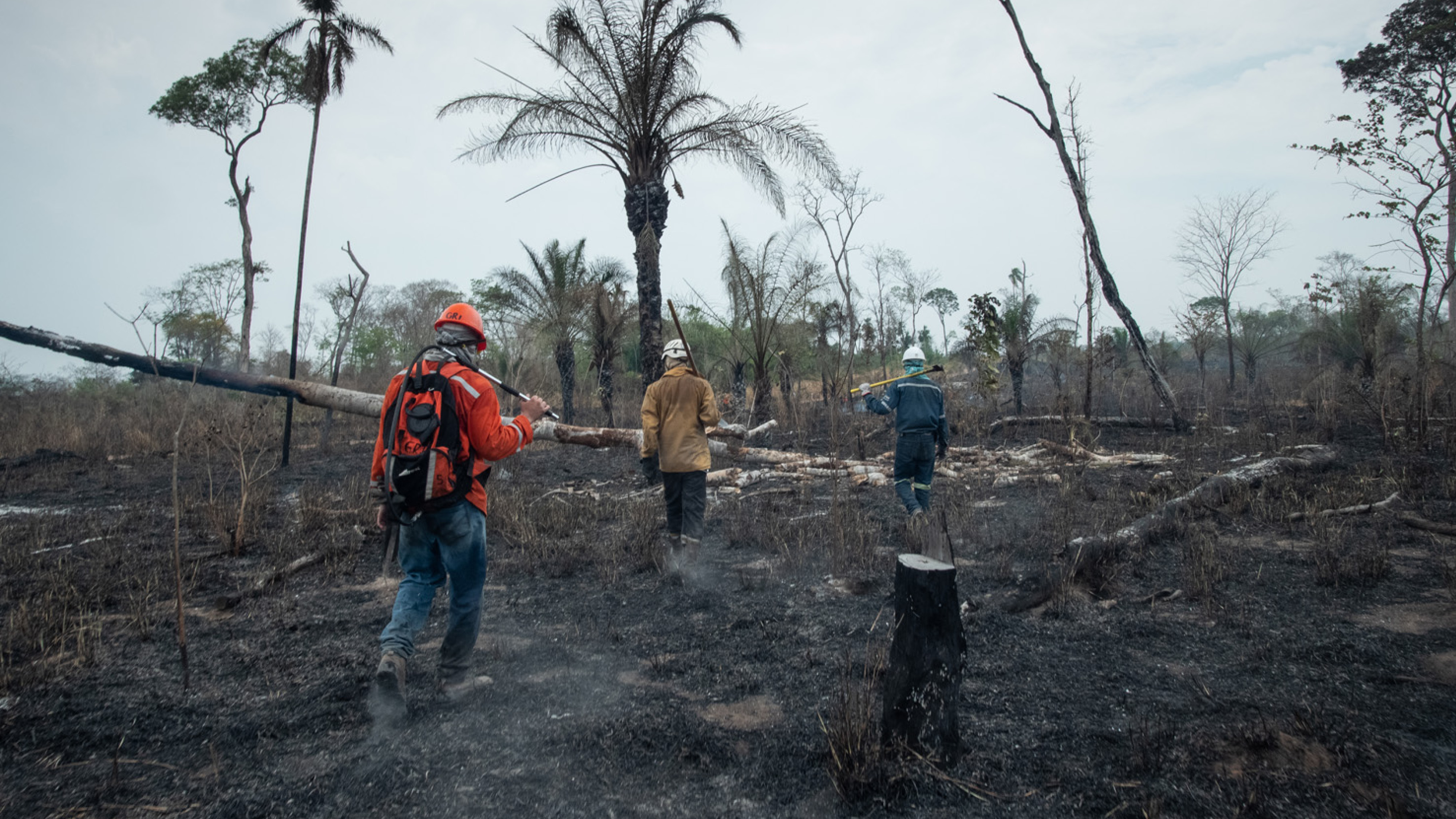 Snímek z filmu Incendios. Dobrovolníci a hasiči jdou spáleništěm pralesa.