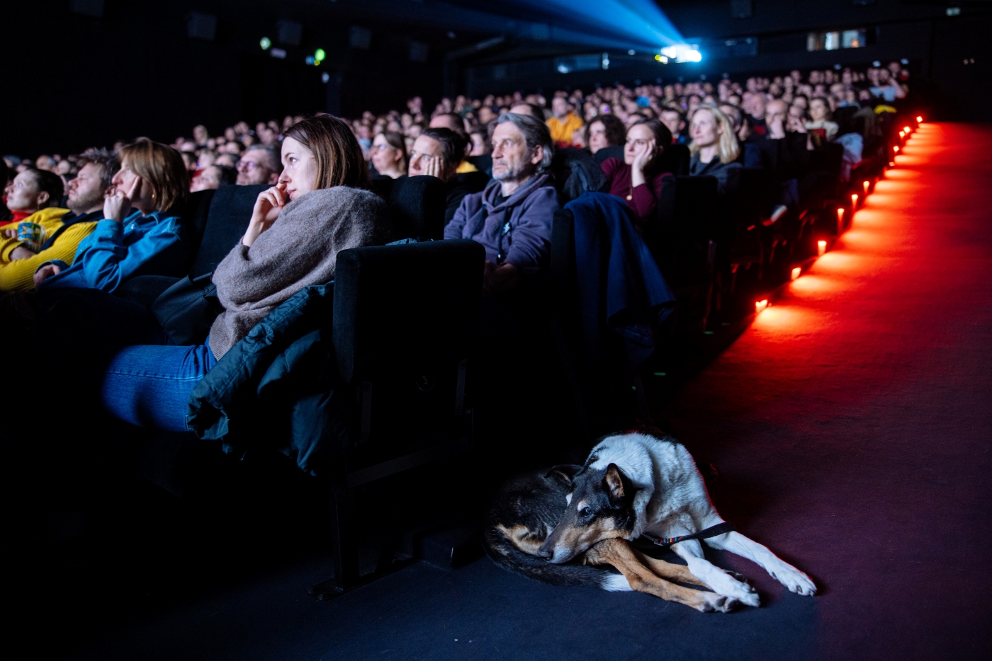 Diváci sledují film v kině, u sedadel leží pes.